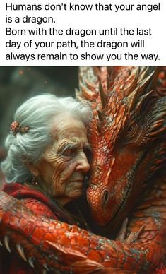 an older woman hugging a dragon with the caption, humans don't know that your angel is a dragon