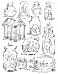 a set of hand drawn jars with plants and animals inside