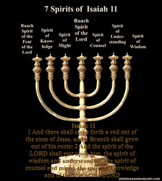 Bible Museum, Shabbat Shalom Images, Isaiah 11, Forest Room, Hebrew Lessons, Hebrew Language