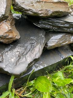 a pile of rocks sitting in the grass