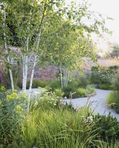 an outdoor garden with lots of plants and trees