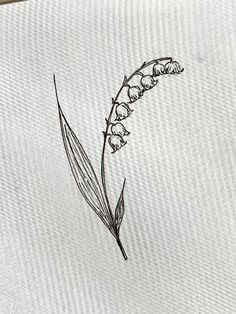 a drawing of a flower on a piece of paper