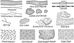 the different types of trees and shrubs that are featured in this diagram, vintage line drawing or engraving