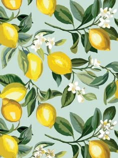 a painting of lemons with leaves and flowers