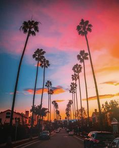 palm trees line the street as the sun sets