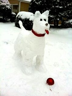 a white dog standing in the snow next to a red ball