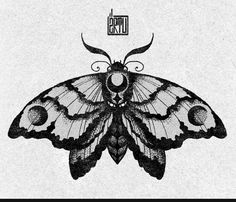 a black and white drawing of a butterfly with the words, in front of it