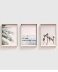 three framed pictures hanging on the wall with palm trees in front of them and an ocean view