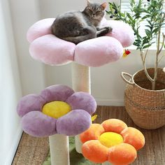 a cat laying on top of a flower shaped scratching post