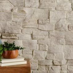 a potted plant sitting on top of a wooden table next to a stone wall