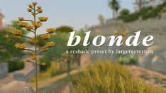 a plant with the words blonde on it in front of some rocks and trees,