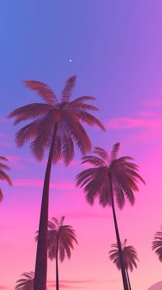 palm trees are silhouetted against a pink and blue sky