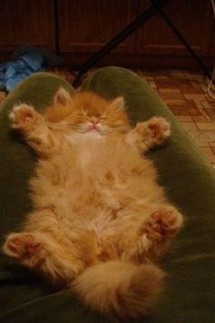 an orange cat laying on its back on a green chair with it's eyes closed