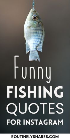 the words funny fishing quotes for instagram are in white and black with a fish hanging from