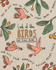 an illustration with birds and berries in the middle, surrounded by words that read look at the birds of the air