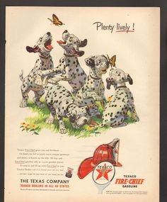 an old advertisement for texco's company featuring four puppies playing with each other