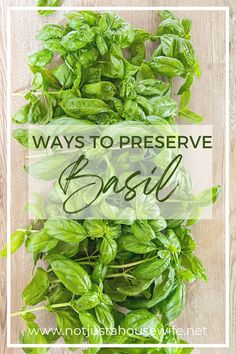 basil leaves with the words ways to preserve basil