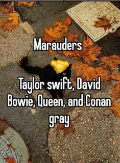 a black and white cat laying on the ground next to leaves with text that reads maraaders taylor swift, david bowlie queen and