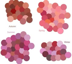 Blush For Winter, Zyla Romantic Color, David Zyla Spring, David Zyla Color Palettes, Complexion Colors