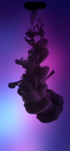 an abstract photo of water and plants in purple, blue, and pink hues