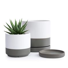 PRICES MAY VARY. Small Set of 2 Plant Pots Dimensions: 4.6" Diameter (4.2" Inner Diameter) * 4.5" Height; 6" Diameter (5.4" Inner Diameter) * 6" Height. Potting Soil Needed: 4-inch 0.8 qt; 6-inch 2 qt. Elegant Minimalist Design: Simple, elegant, and modern round design plants pot, add a decorative touch to any room. Material: Strong glazed ceramic with high temperature fired pot for plants. Drainage holes and detachable/perfectly fitting ceramic saucers included. Included Accessories: Stainless Small Plant Pots, Pots Set, Fire Pots, Pots For Plants, Ceramic Planter Pots, Small Potted Plants, Modern Round, Round Design, Plant Pots