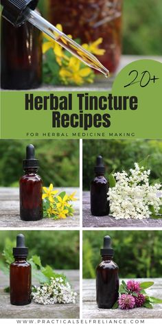 Herbal Tinctures Recipes, Dandelion Tincture, Herbalism For Beginners, Elderberry Tincture, Nettle Tincture, Medicine Recipes