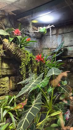 the inside of a building with plants and rocks