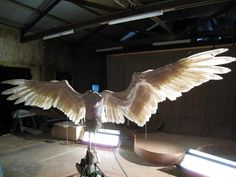 a large white bird with its wings spread out in an empty room next to a person