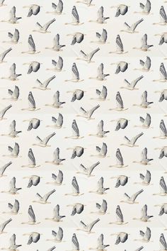 a flock of birds flying through the air