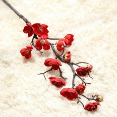 a branch with red flowers on it sitting on a white rug