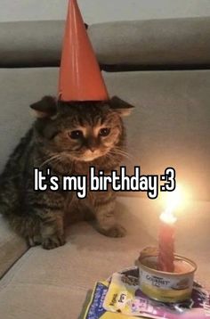 a cat with a birthday hat on sitting next to a lit candle that says it's my birthday 3