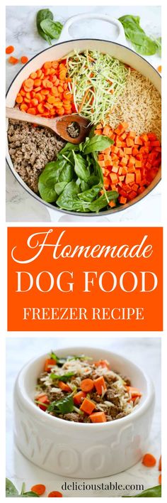 homemade dog food freezer recipe with carrots, spinach and other vegetables in it