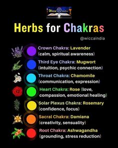 Charka Pics, Chakra Drawing, Dice Divination, Chakras Colors, Circadian Clock, Blocked Chakras, Chakra Chart, Meditation Methods