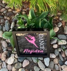 there is a sign that says dance mygusa on the rocks next to some plants