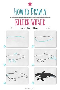 Step by step images demonstrating how to draw a killer whale drawing - A Drawing Tutorial for Beginners! Killer Whale Drawing, Under The Sea Drawings, Cool Drawings For Kids, Easy Graffiti Drawings, Sharpie Drawings, Whale Drawing, Landscape Pencil Drawings