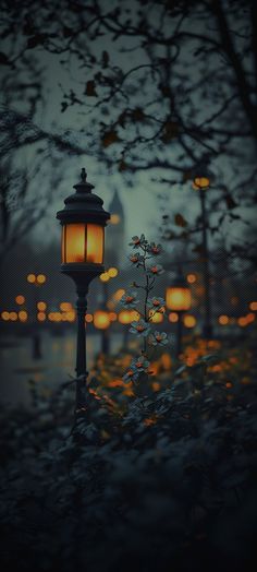 a lamp post in the middle of a park with flowers growing out of it at night