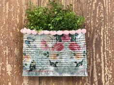 a potted plant hanging on a wooden wall