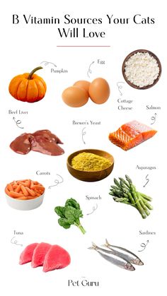 an image of vitamin sources for cats that are in the middle of their body and on top