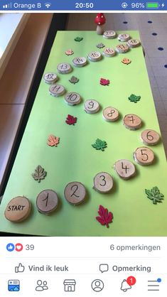 a green table topped with lots of different types of numbers and leaves on top of it