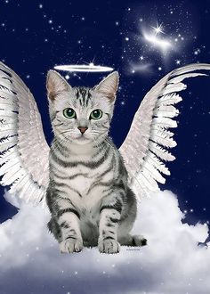 a cat sitting on top of a cloud with angel wings