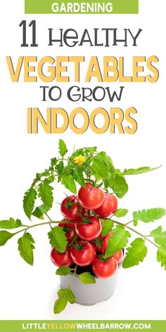 Growing vegetables indoors is easy. If you love planting and growing vegetables inside during the cold weather months, we've got the ultimate veggie gardening guide to help with what vegetables to plant. Garden tips and advice for seasoned and beginner gardeners. An edible garden inside is a good idea for health all year round. Learn the best vegetables to plant indoors, inside vegetable gardening growth and care tips, how to troubleshoot common indoor vegetable garden issues.