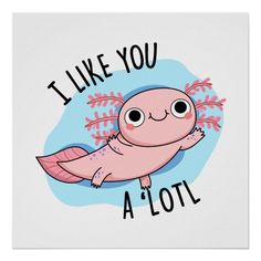 i like you a lot poster with an image of a pink sea turtle on it