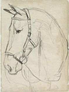 a drawing of a horse's head with bridle and reins on it