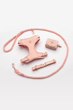 a pink dog leash, collar and harness on a white background