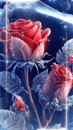 two red roses with frost on them in front of a blue sky and snowflakes