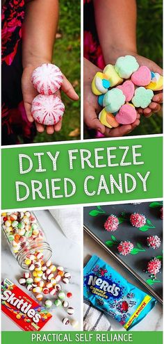 diy freeze dried candy collage with text overlay