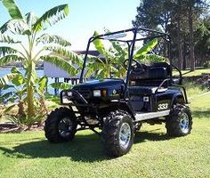 a black utility vehicle parked in the grass near some water and palm trees on a sunny day