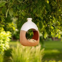 a bird feeder hanging from a tree branch