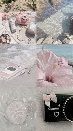 a collage of photos with pink flowers and other things on the ground next to water