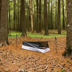 there is a tarp set up in the middle of the woods with two poles